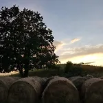 Zosienka Wypoczynkowe