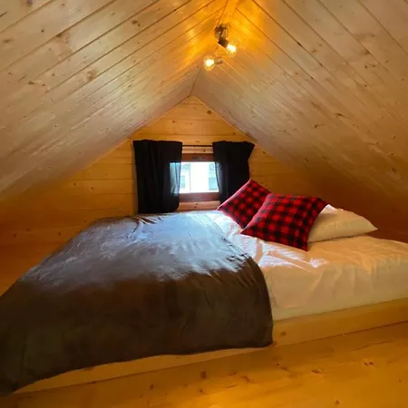 Holiday home Zosienka Wypoczynkowe *